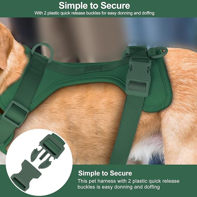 No Pull Lightweight Dog Harness: Adjustable Durable Breathable Mesh Pet Vest Harness with Soft & Comfortable Cushion, for Small Medium Large Dogs (Medium, Pine Green)