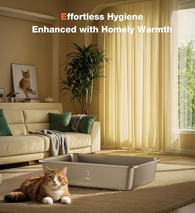 Stainless Steel Litter Box, Large Cat Litter Box for Medium to Large Cats, Odor-Free, Non-Stick, Easy to Clean, 19.5"×13.6"×3.9", Low Entry for Kittens, Seniors, or Injured Cats