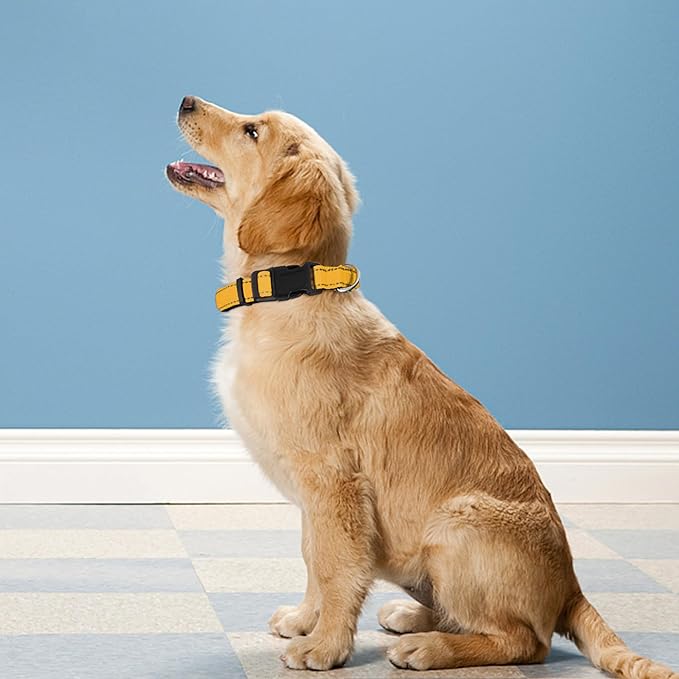 Reflective Dog Collar, Adjustable Soft Neoprene Padded Nylon Pet Collars with Buckle for Small Dogs, Yellow,S