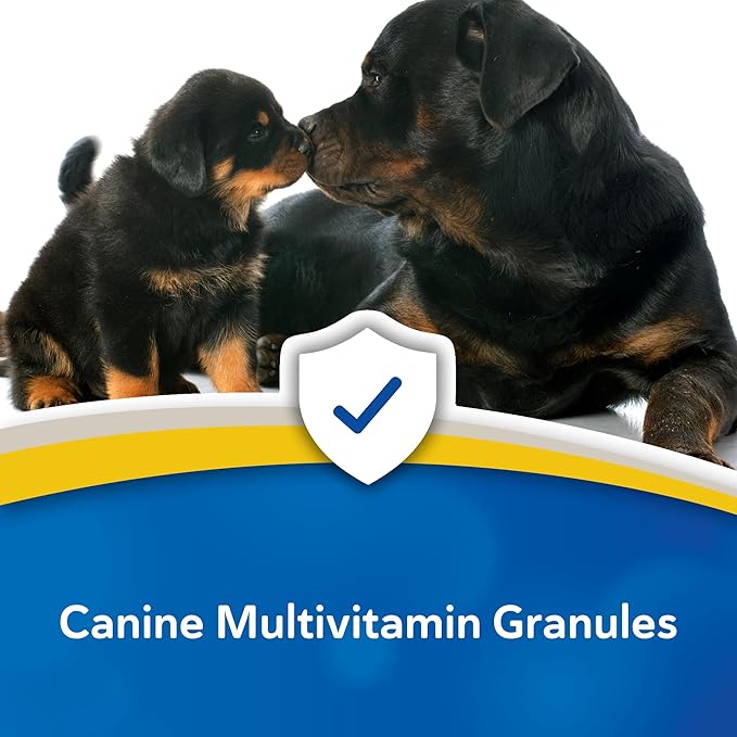 Doc Roy's Daily Care Extra Canine, Advanced Multivitamin Supplement for Dogs, Supports Energy, Immune, Muscle, Bone & Brain Health, Provides Vitamins A C D3 E B Complex, Iron Zinc, 400g Granules