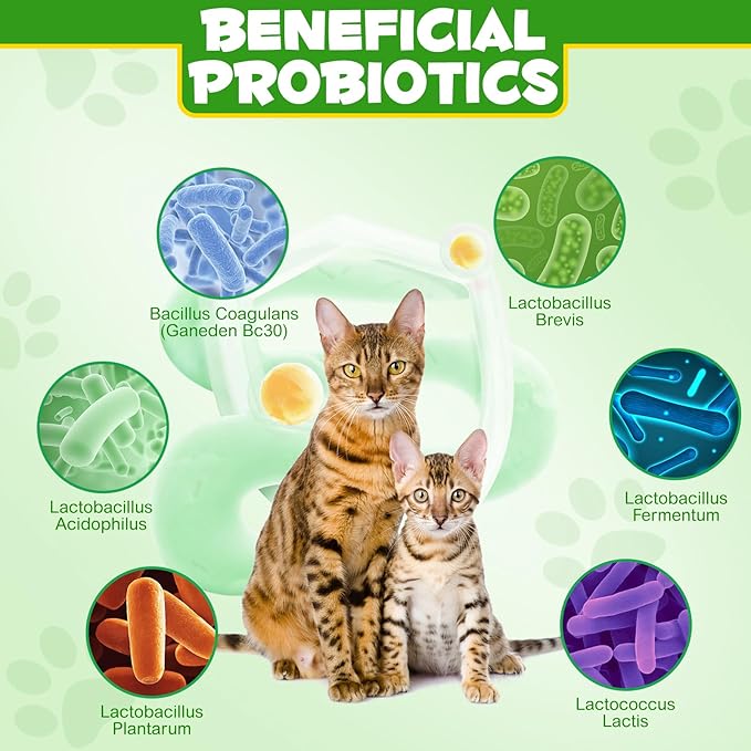 Probiotics for Cats - Cat Probiotic Powder Digestive Supplement with Digestive Enzymes & Prebiotics for Cats Support Gut Health, Seasonal Allergies & Immune System, Cat Health Supplies Powder - 120g
