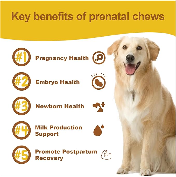 Dog Prenatal Vitamins - Supports Healthy Pregnancy, Puppy Growth & Lactation - with Folic Acid, Iron & Calcium - Advanced Supplement for Pregnant & Nursing Dogs - 120 Soft Chews