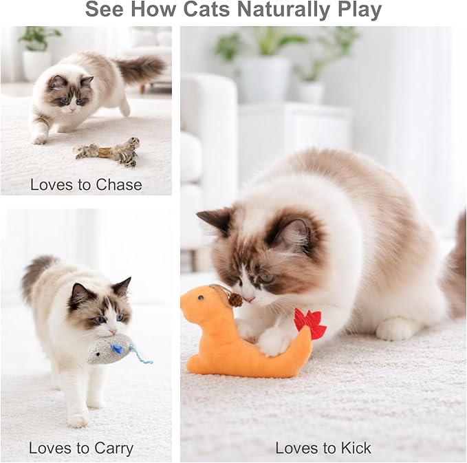 3 Pack Cat Toys for Indoor Cats - Silvervine & Catnip Toy Set with Feather, Plush Dragon Kick Toy, Mouse Toy for Chasing, Kicking & Chewing, Natural Cat Enrichment Toys
