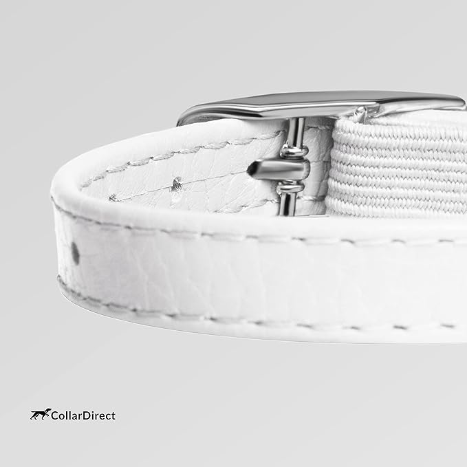 CollarDirect Leather Cat Collar with Removable Bell – Safety Elastic Strap (Breakaway Alternative) – Kitten Collar for Small & Big Boy & Girl Cats