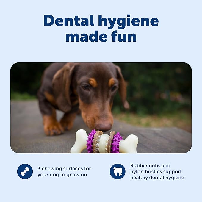 PetSafe Busy Buddy Bristle Bone Dog Chew Toy - Promotes Dental Health - Durable Nylon & Rubber - Treat Dispensing Design - Interactive Play - Refillable Treat Rings Included