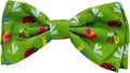 Huxley & Kent Pet Bow Tie for Dogs & Cats - Spring Theme Adjustable Hook & Loop Collar Accessory - Cute & Comfortable for Holidays & Celebrations - Garden Party, Small