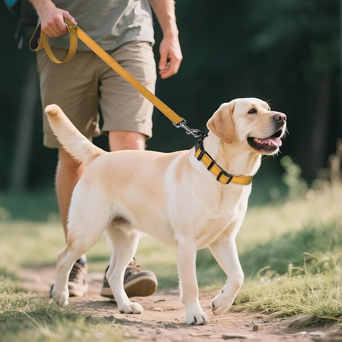 Joytale Reflective Dog Collar, Soft Neoprene Padded, Metal D-Ring, Nylon Pet Collar Adjustable for Large Dogs, Khaki, L