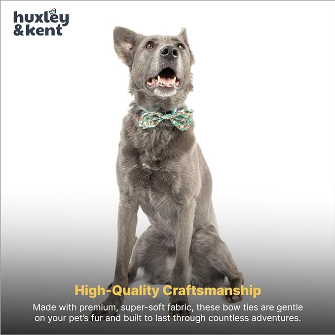 Huxley & Kent Pet Bow Tie for Dogs & Cats - Adjustable Hook & Loop Collar Accessory - Cute & Comfortable for Holidays & Celebrations - I'm Prickly Cactus, Large