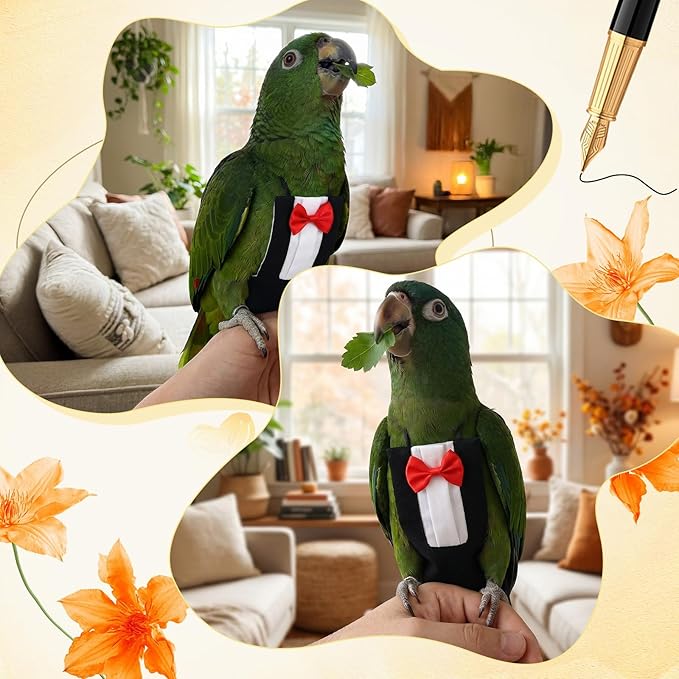 Bird Diaper Harness Flight Suits, Cockatiel Diaper Cute Parrot Pants Urine Wet for Cockatiel Conure Macaw Parakeet, Bird Diapers Reusable Parrot Clothes for Wedding Birthday Cosplay Photo