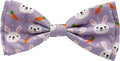 Huxley & Kent Pet Bow Tie for Dogs & Cats - Spring Easter Adjustable Hook & Loop Collar Accessory - Cute & Comfortable for Holidays & Celebrations - Funny Bunny, Small