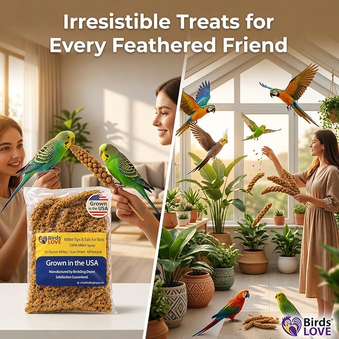 Birds LOVE Millet Tips & Tails for Birds - Parakeets, Cockatiels, Lovebirds, Finches, Budgies, Canaries, Cockatoos - Natural & Healthy Millet for Birds - Parakeet Food & Treats for All Parrots, 1lb