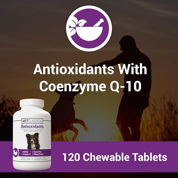 Vet Classics Coenzyme Q-10 Antioxidant Dog Supplement – Pet Health Supplement for Dogs – Supports Overall Dog Wellness, Aging – Includes Green Tea, Vitamin C, Wheat Grass – Chewable Tablets 120 Ct.