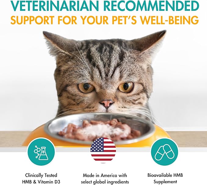 Muscle Support Pet Supplement for Small Dogs & Cats with CaHMB & Vitamin D3 – All Ages & Senior Dog Supplements for Muscle Strength, Mobility & Daily Activity – (30 Capsules)