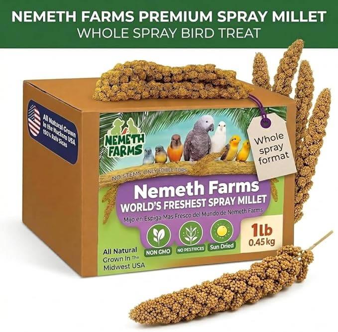 USA Grown Spray Millet for Birds – Midwest Harvest, 1 lb Premium 100% Natural, Sun-Dried Non-GMO Whole Millet Sprays, Bird Treat for Parakeets, Budgies, Cockatiels, Conures, Lovebirds & Finches