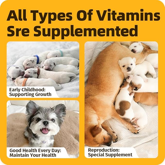 Multivitamins Supplement for UTIs & Allergy Relief, Skin & Coat Care, Hip & Joint Supplement, Immunity Boosting & Digestive Aid for Dogs & Cats 2.03 Fl Oz (1 Bottle)