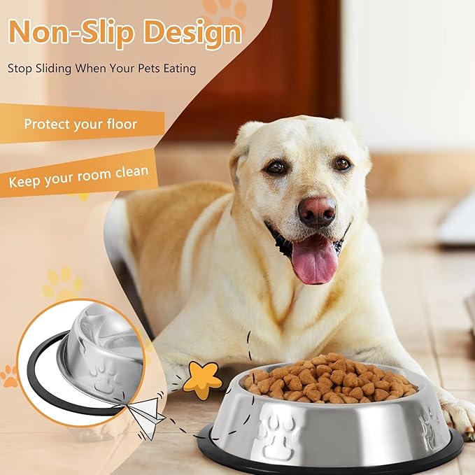 Stainless Steel Cat Bowl, 2 Pack Metal Dog Bowls for Food and Water, Non-Slip Pet Feeding Dish Bowl with Rubber Base for Indoor Cats Small Dogs