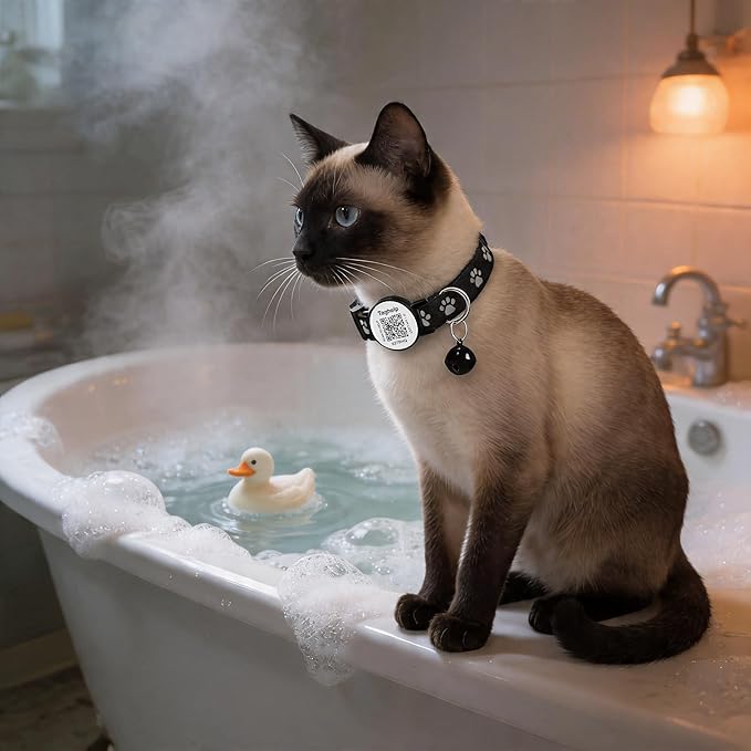 Collar with QR Code,Reflective Cat Collar with Name Tag, Personalized Reflective Cat Collar Breakaway with Bell for Boy & Girl Kitten, Ultra-Durable, Quick Release, Fits Most Girl Boy Cats(Black)