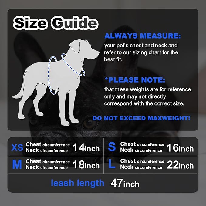 Dog Harness Medium Sized Dogs, Puppy Harness and Leash Set for Training, Running, Walking, Suitable for Small and Medium Dog Vest, Black, XS