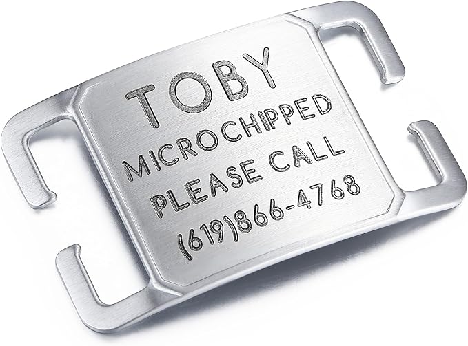 Deep Laser Custom Font Engraved Slide - No Noise Collar Tags, Hand-Brushed Stainless Steel, 5 Lines of Personalized Text - Pet ID Name Tags for Dogs & Cats - Large