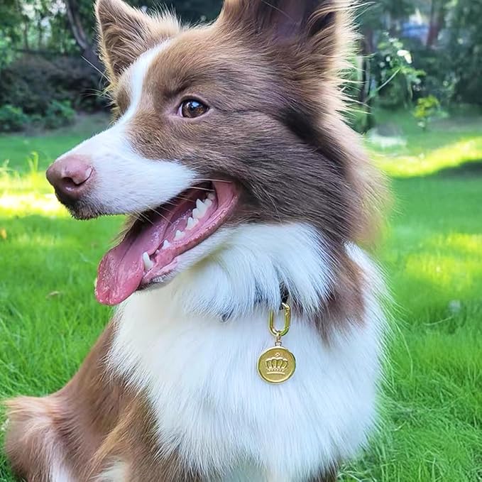 Dogs ID Tags Personalized Double Sided Deep Engraved Cat & Dog Collar Charm Round Shape Frosting Process Silver/Gold Plated