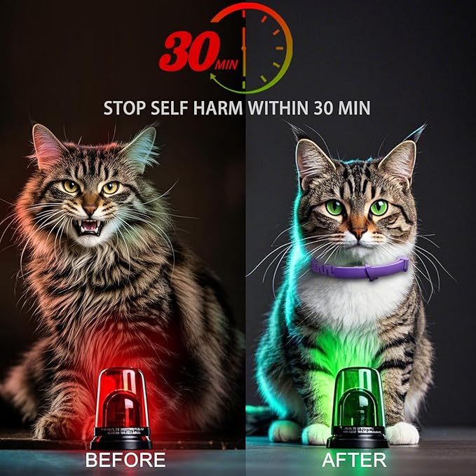 Calming Collar for Cats 6 Pack Cat Calming Collar with Soothing Cat Pheromone Collar Technology Helps Relieve Cats Anxiety Relief Stress Adjustable Fit Long-Lasting 30 Days Grey