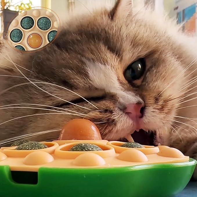 Interactive Cat Catnip Toy Cats Sugar Treat Lick Ball Sticky Wall Enrichment Balls for Cats Healthy