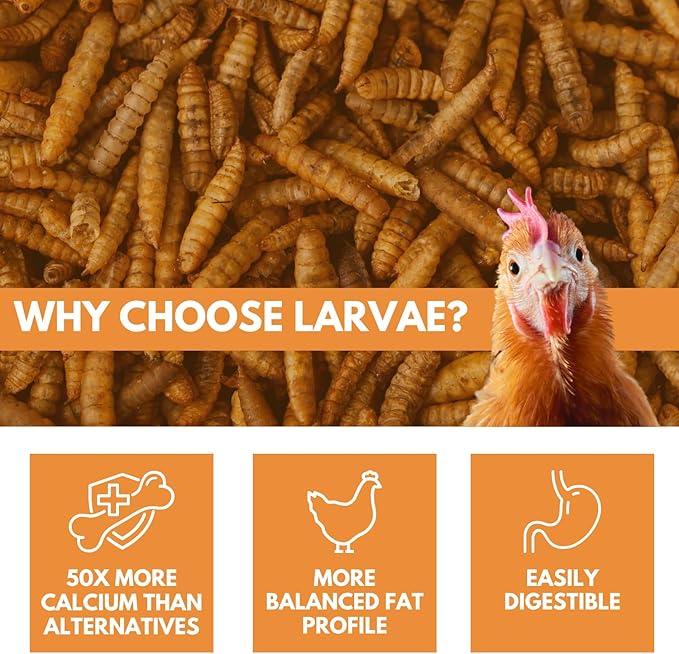 Brooks Brand Black Soldier Fly Larvae Chicken Treats, Mealworms Alternative, Grubs for Chickens, High Calcium for Laying Hens, Made in USA, 1.75 lbs