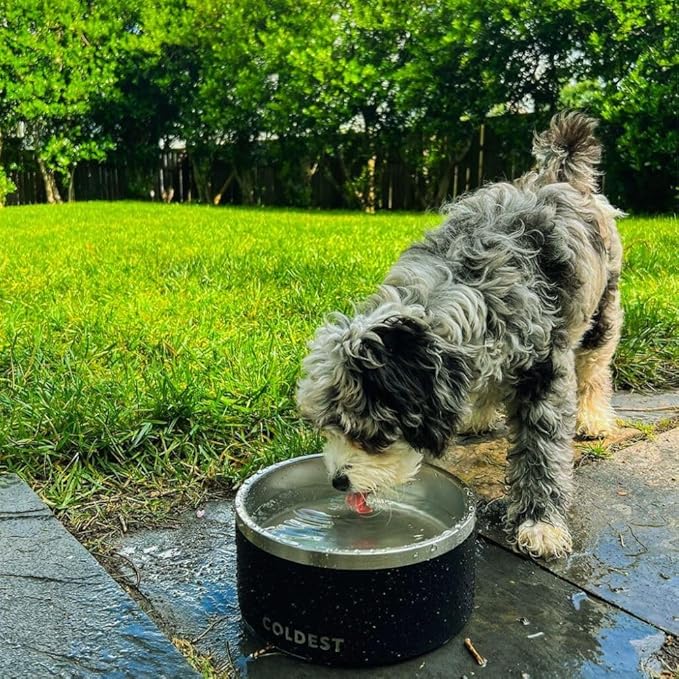 Coldest Dog Bowl - Anti Rust Metal, Non Slip, 3 Layers Insulated Stainless Steel Dog Bowls - Spill Proof & Heavy Duty - Water Bowl for Dogs, Cats, Dish Washer Safe (21 oz, Polished Stainless Steel)