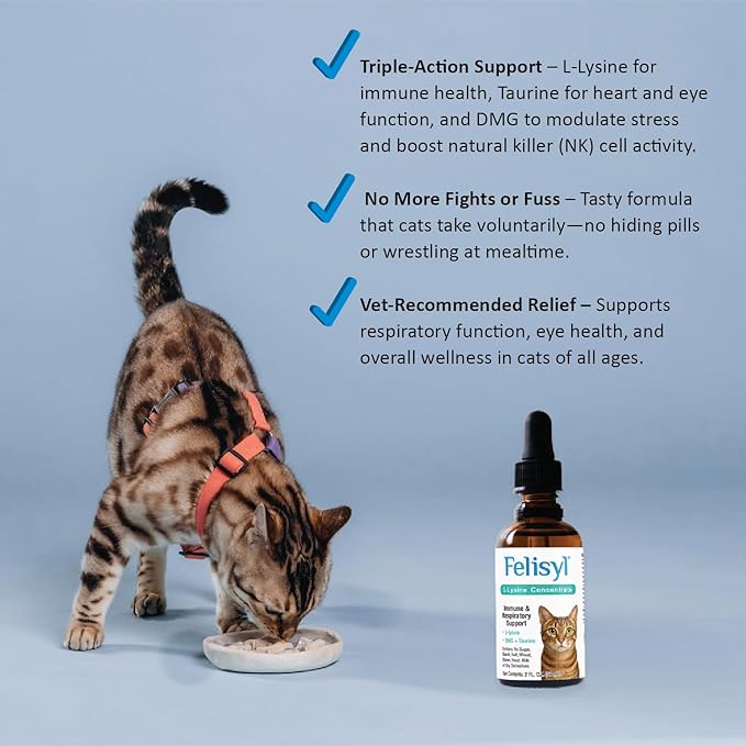 L-Lysine Concentrate for Cats – 2 oz Immune & Respiratory Support Supplement with DMG & Taurine – Helps Relieve Sneezing, Runny Nose, Congestion, Watery Eyes, FHV-1 Symptoms – Made in USA