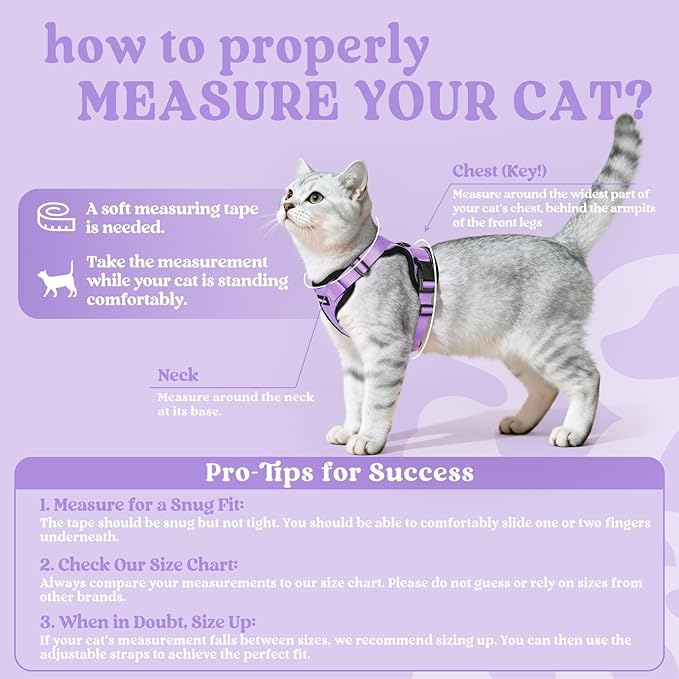 rabbitgoo Cat Harness and Leash for Walking, Escape Proof Soft Adjustable Vest Harnesses for Cats, Easy Control Breathable Reflective Strips Jacket, Light Purple, XS
