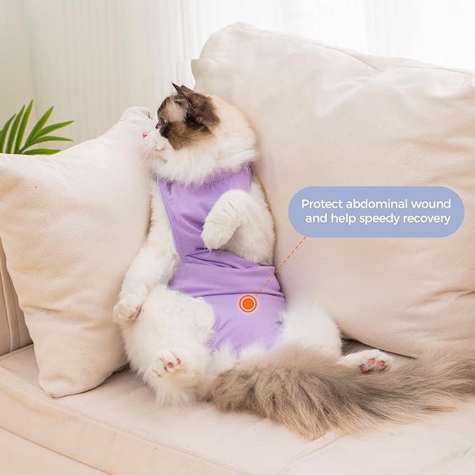 Avont Cat Recovery Suit Female Kitten After Spay Surgery, Breathable Modal Cotton Cat Onesie for Wound & Skin Disease Care, Machine Washable -Purple(M)