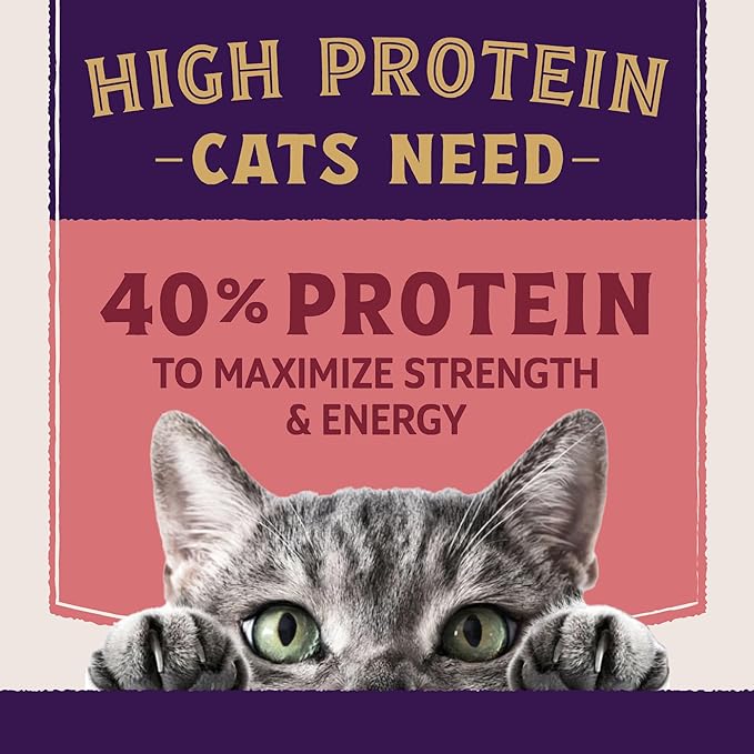 Natural Balance Ultra Protein Plus Dry Cat Food, Skin & Coat and Digestive Health Real Salmon & Chicken Meal Recipe with Chicken Liver & Chicken Heart, High Protein Cat Food for Picky Cats - 2.5 lbs