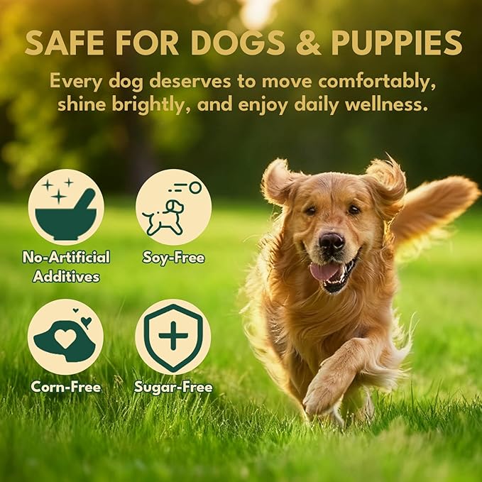 Liquid Collagen for Dogs, Natural Dog Collagen for Skin & Coat Support, Immune Support, Joint & Mobility Care with MSM, Middle-Aged and Older Dogs (Bacon Flavor - 60ml 2 Pack)