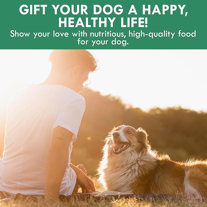 Holistic Bin Canine Super Greens Plant-Based Dog Food Toppers | Nutrient-Rich Supplement Powder | Gut Balance, Joint Strength, Digestion, Fresh Breath & Overall Canine Wellness | Greens Powder (50g)