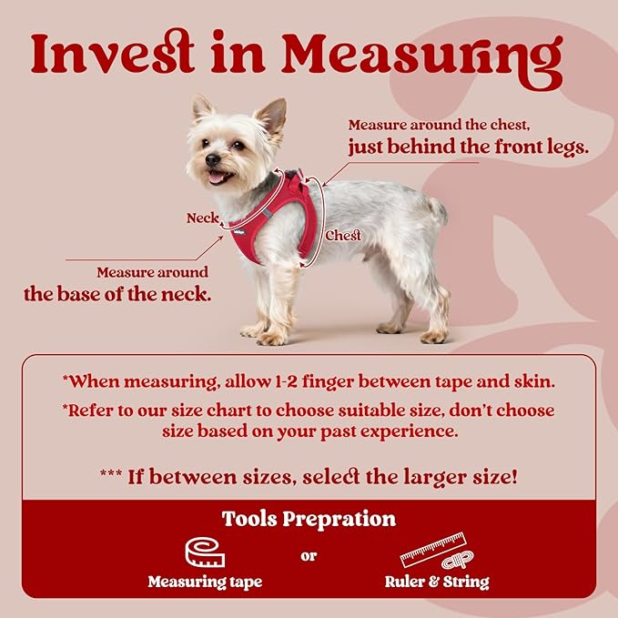 rabbitgoo Small Dog Harness, Step-in Soft Mesh Puppy Vest with Safety Buckle, Breathable Reflective Pet Harness for Small Medium Dogs, Red L