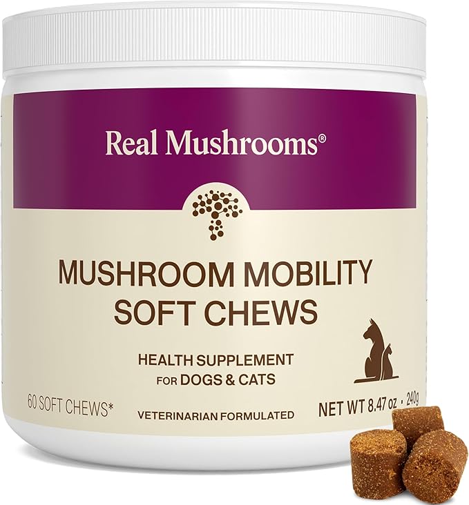 Real Mushrooms Mobility Chews for Dogs & Cats – Green Lipped Mussel & ErgoGold Mushroom Blend – Dogs & Cat Vitamins Treats for Active Routines – Joint, Hip & Flexibility Support – 240 ct Supplement