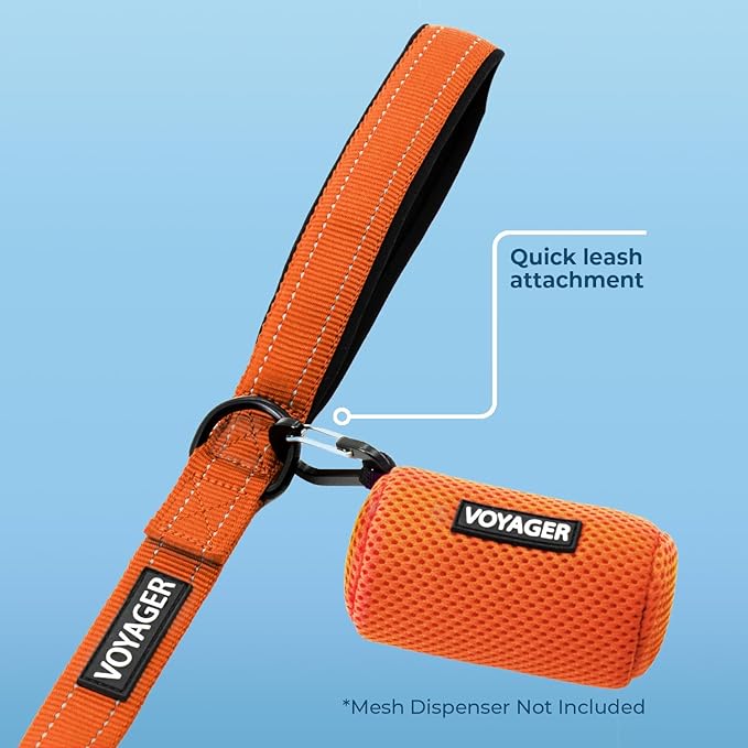 Best Pet Supplies Voyager Reflective Dog Leash or Collar with Neoprene Handle, for Small, Medium, and Large Breed Puppies, Cute and Heavy Duty for Walking, Running and Training - Orange (Leash), M