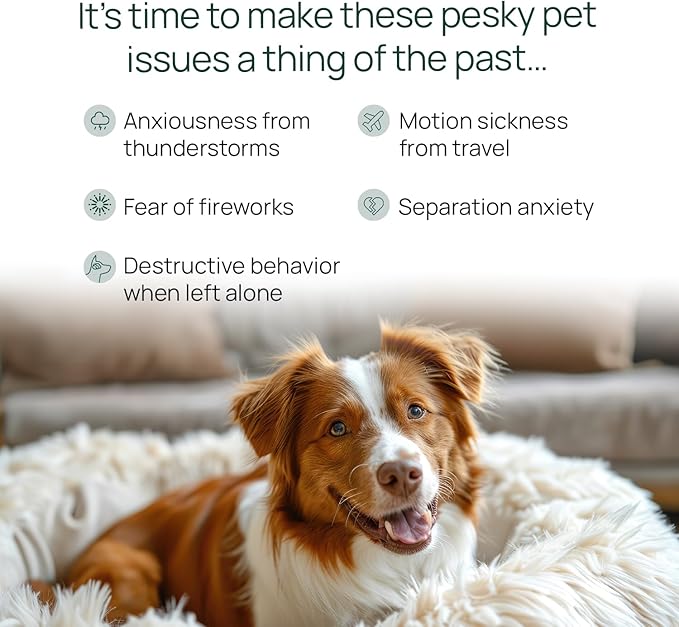 pawTree Chillax - Natural Calming Hemp Chews for Dogs and Cats - Formula to Relieve Stress and Tension; Ease Travel, Separation Anxiety and Soothe Fear - Small Soft Chews (60 Count)