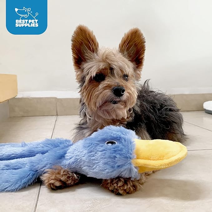 Best Pet Supplies Interactive Squeaky Dog Chew Toy, Ideal Dog Toys for Chewers, Small, Medium & Large Dogs, and Fetch Lovers - Crinkle Duck (Yellow, Purple & Turquoise), Large