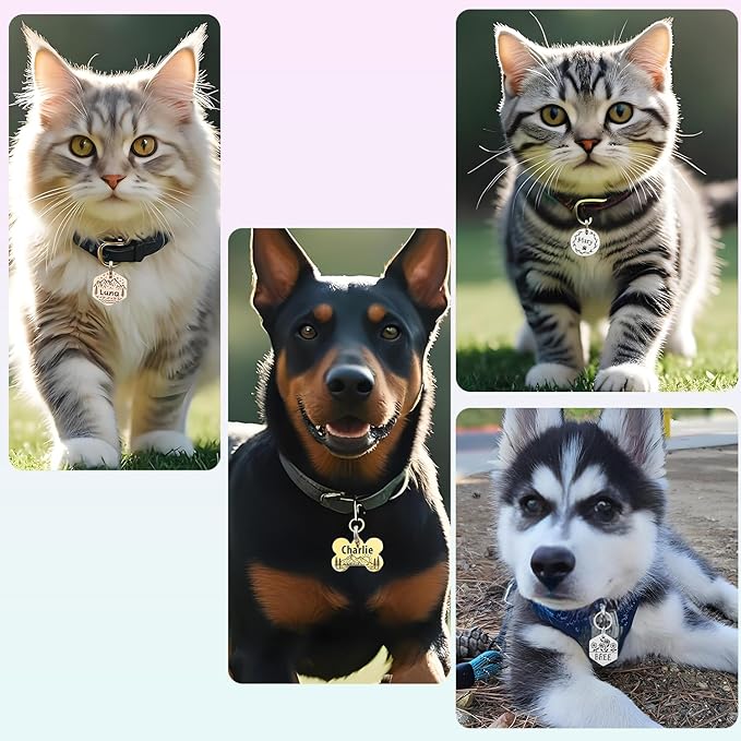 Personalized Pet ID Tags, Customizable Hexagon, Bone and Round Shapes, Multiple Designs with Mountain, Floral, and Night Sky Patterns, Stainless Steel Dog and Cat Tags (Hexagon)