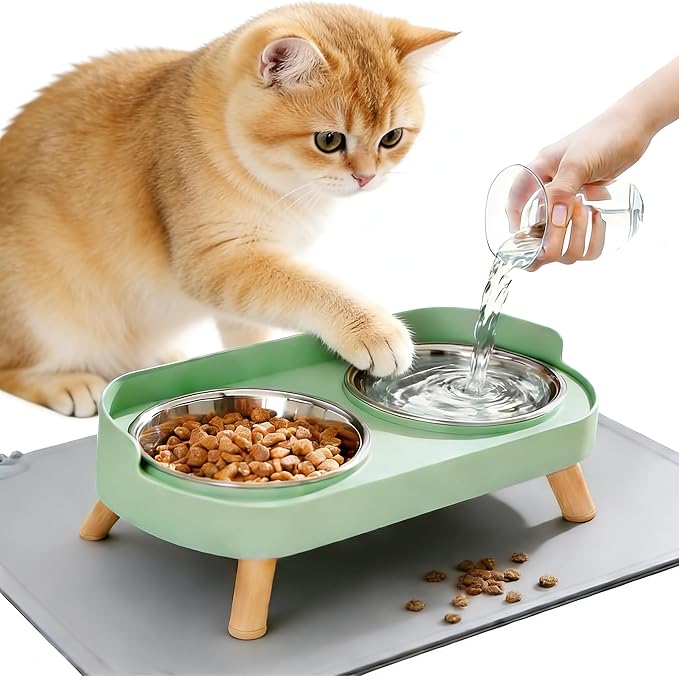 Elevated Cat Bowls with Food Mat, Splash Proof Anti Vomiting Raised Cat Food and Water Bowl Set, 2 Stainless Steel Dishes for Cats and Puppy, Pet Bowl for Indoor Cats Green