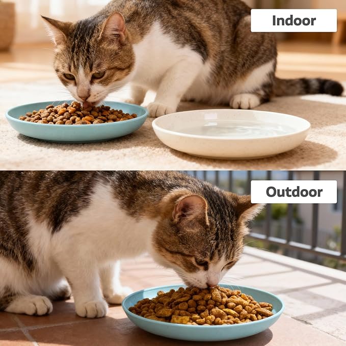 8 Pack Cat Bowls, Cat Food Bowl, 5.9 x 1 Inch Whisker Friendly Shallow Wide Cat Dishes, Pet Food and Water Bowl for Indoor & Outdoor Cats
