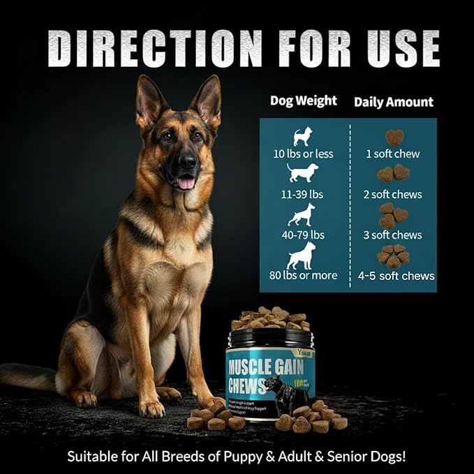 Muscle Gain Chews Dog Weight Gainer Supplements with High Protein & Canine Amino Acids Puppy Vitamins Canine Muscle Builder Formula for Bully & All Breeds Puppies & Adult & Senior Dogs-100 Count