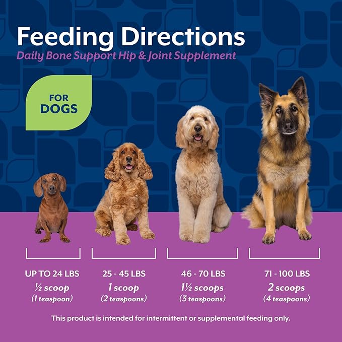 NaturVet Calcium-Phosphorus For Dogs, Supports Strong & Healthy Bones, Enhanced with Essential Minerals & Vitamin D, No Color, 16 Oz
