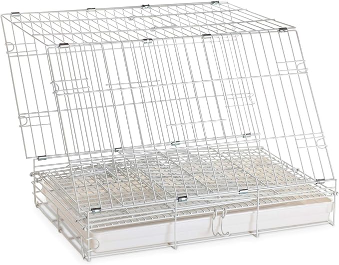 Large Easy Collapsible Travel Vet Bird Parrot Carrier Metal Cage Bar Spacing 1.25-Inch Prevent Your Parrot Bird Beaks Out with Stainless Feeder Cups Natural Wooden Perch