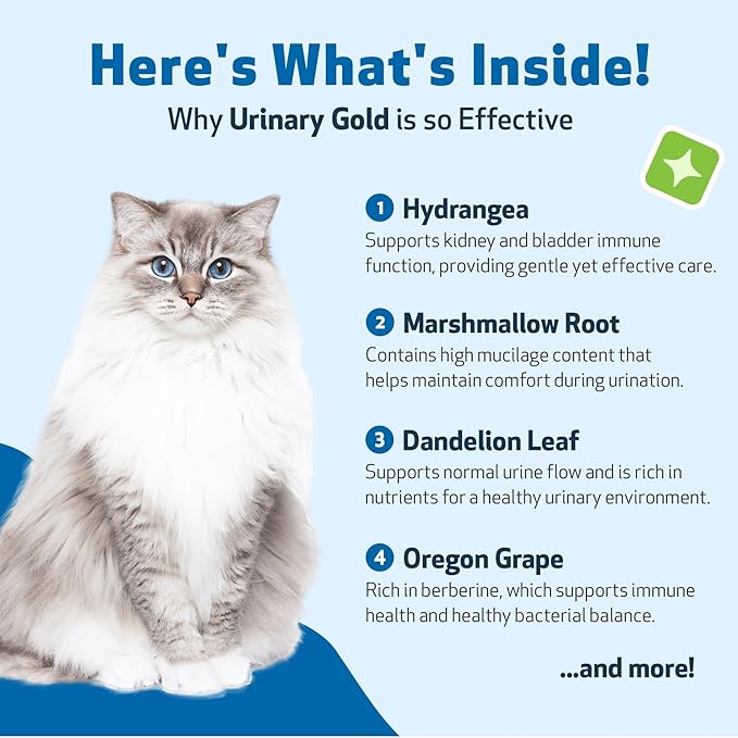 Pet Wellbeing Urinary Gold for Cats - Vet-Formulated Multi-Herb Urinary Tract Support - Feline Bladder Health & Urinary System Wellness - Holistic Cat Supplement - Liquid Formula 2 oz (59ml)