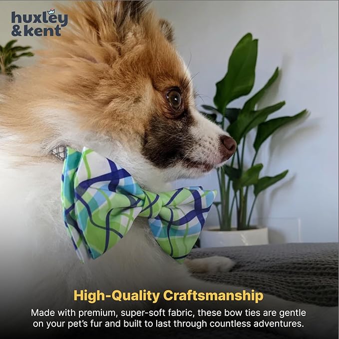 Huxley & Kent Pet Bow Tie for Dogs & Cats - Adjustable Hook & Loop Collar Accessory - Cute & Comfortable for Holidays & Celebrations - Lime Madras, Extra-Large