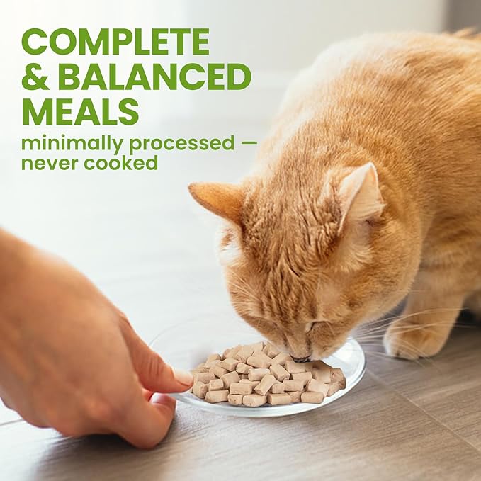 OPET Freeze Dried Raw Cat Food, Chicken & Salmon Oil Recipe, Complete & Balanced Meal or Topper, Healthy, Grain Free, High Protein Raw Cat Freeze Dried Treats (10 oz, Chicken)