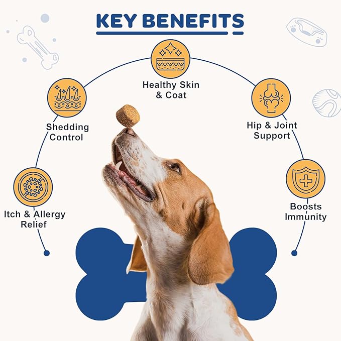 ZEBORA Salmon Oil for Dogs Skin and Coat - Omega 3 6 9 Fish Oil Soft Chews for Dogs Itchy Skin Relief - Dog Fish Oil Supplements EPA DHA Rich with Vitamins C & E - Allergy Relief & Shedding, 120 Ct