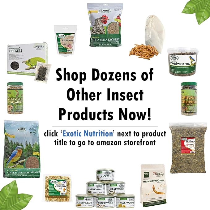 Fresh Feeders (Superworms) - All Natural High Protein Insect Treat - Single Serving Pouches - Chickens, Wild Birds, Hedgehogs, Bluebirds, Reptiles, Sugar Gliders, Opossums, Skunks, Lizards